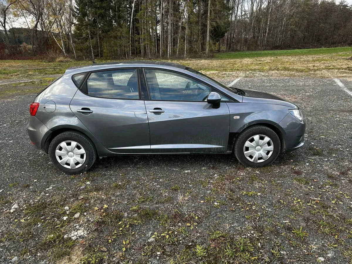 Seat Ibiza 2015 photo 3