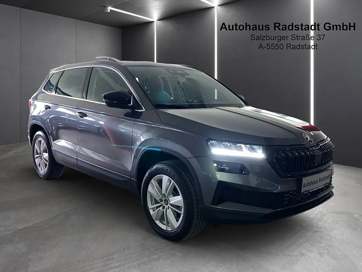 Skoda Karoq 2026 photo 2