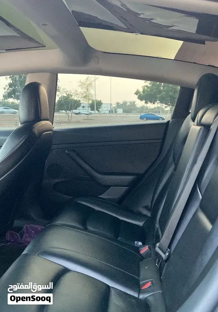 Tesla Model 3 2021 photo 4