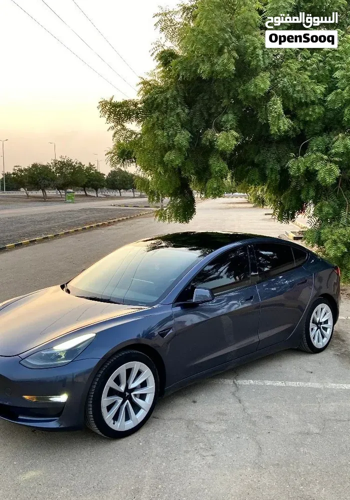 Tesla Model 3 2021 photo 3