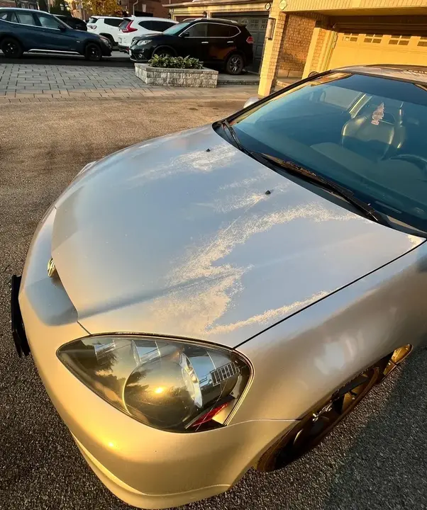Acura Rsx 2005 photo 4