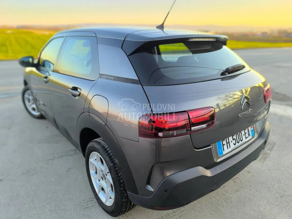 Citroen C4 Cactus 2019 photo 2