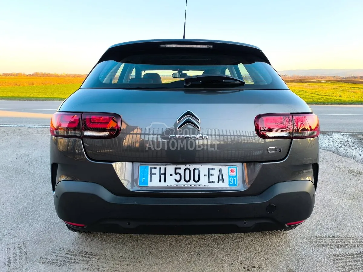 Citroen C4 Cactus 2019 photo 3