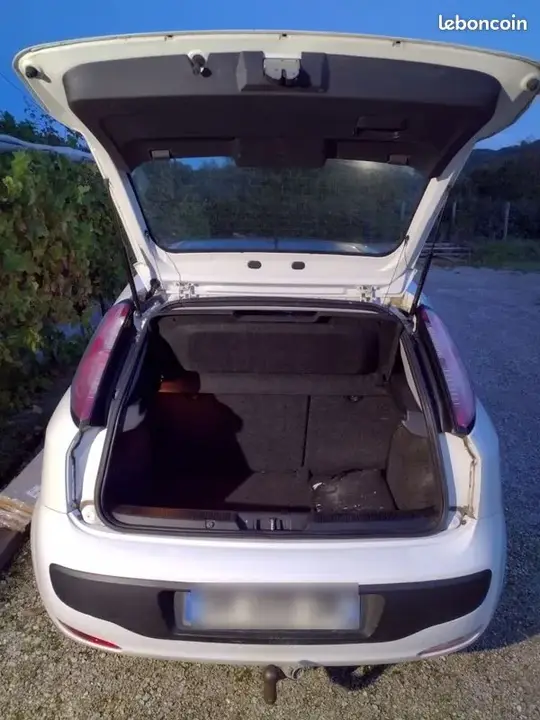 Fiat Punto Evo 2011 photo 5