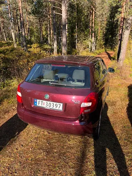 Skoda Fabia 2010 photo 2