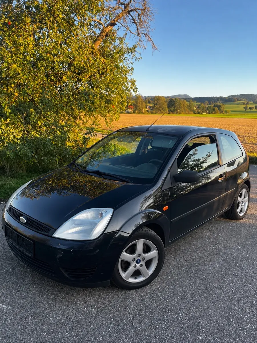 Ford Fiesta 2006 photo 2