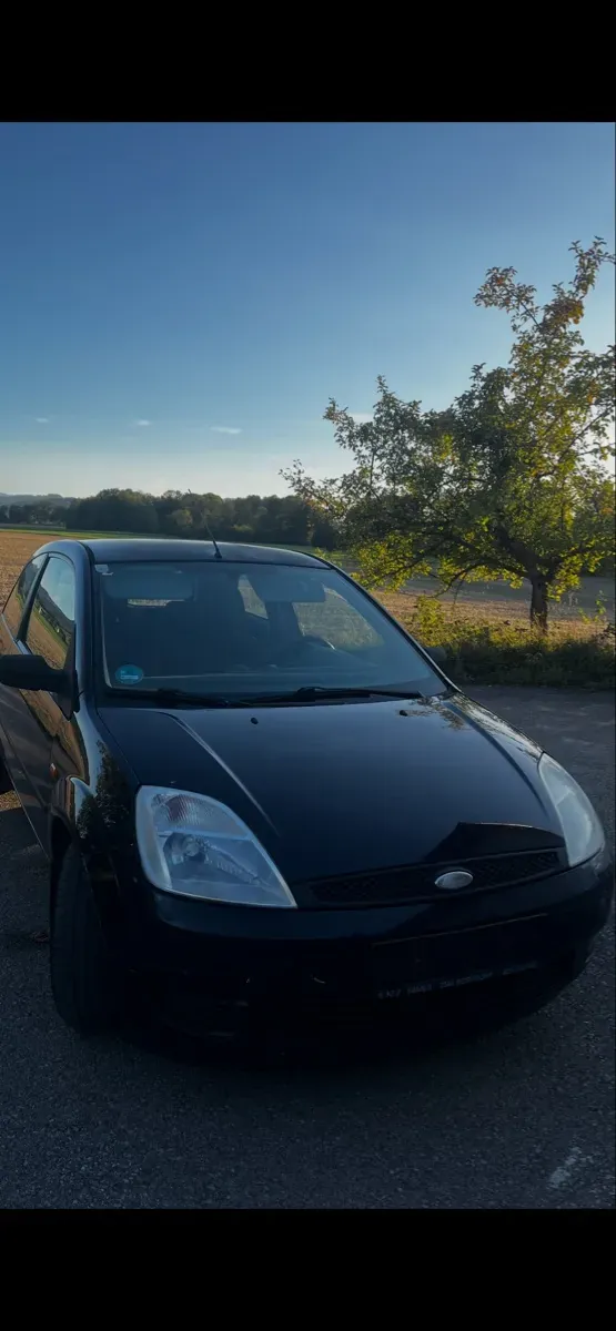 Ford Fiesta 2006 photo 3