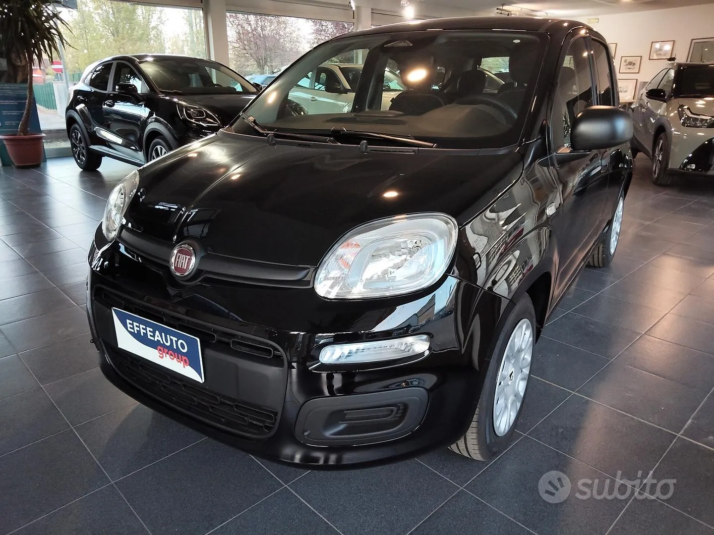 Fiat Panda 2026 photo 2