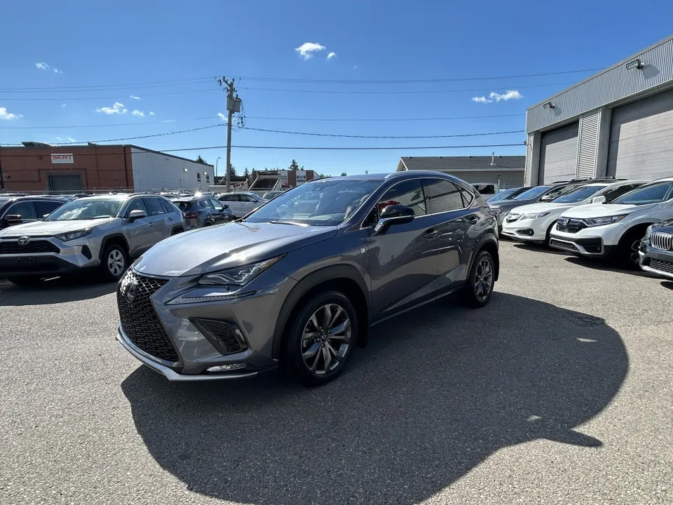 Lexus Nx 300 2021 photo 3