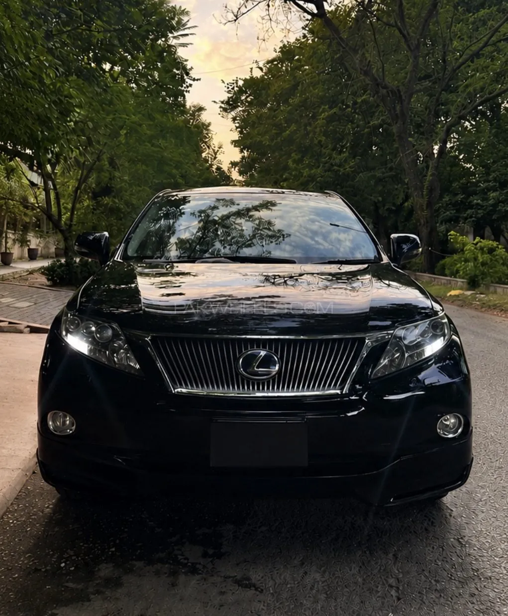 Lexus Rx Series