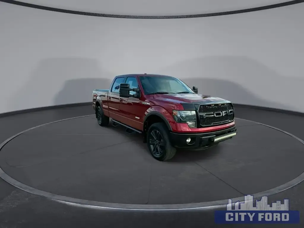 Ford F-150 2014 photo 2