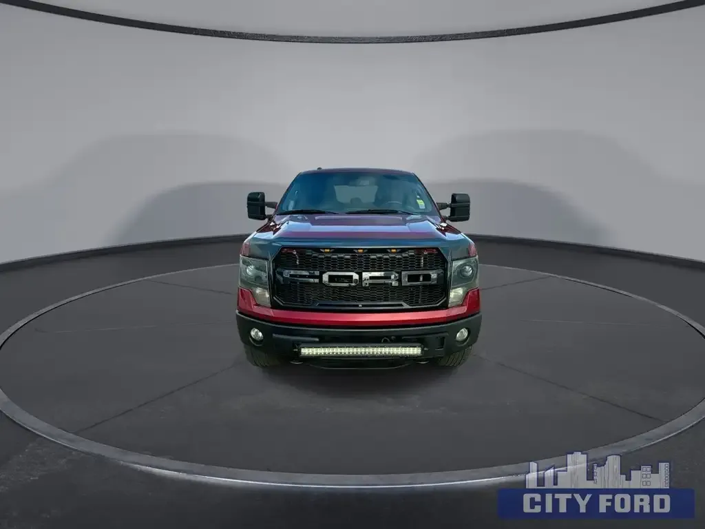 Ford F-150 2014 photo 3