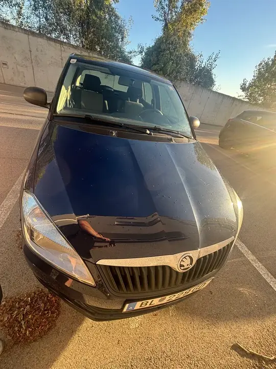 Skoda Fabia 2015 photo 2