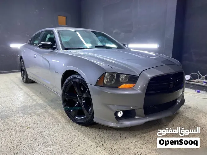 Dodge Charger 2014 photo 2