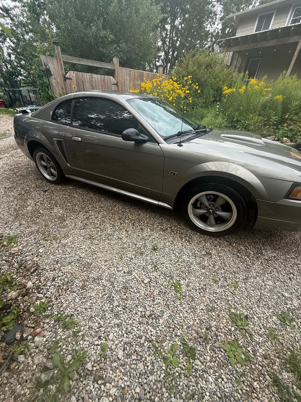 Ford Mustang 2002 photo 2