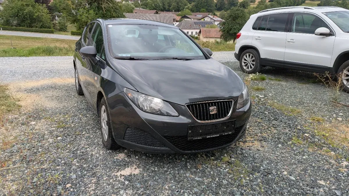 Seat Ibiza 2010 photo 2
