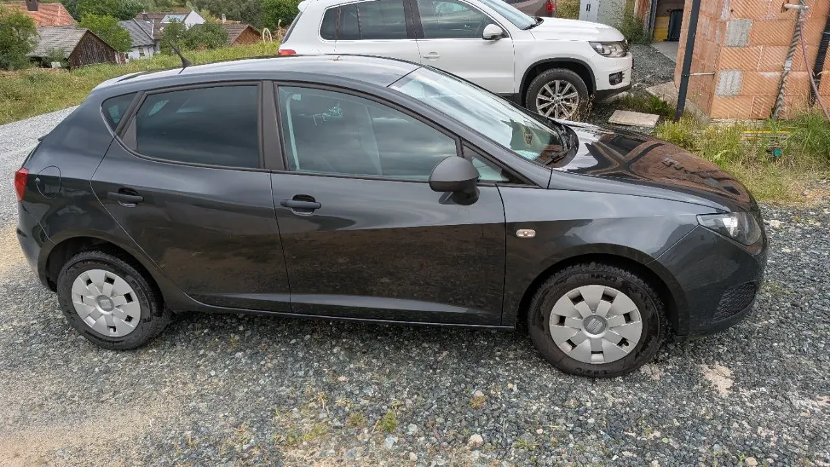 Seat Ibiza 2010 photo 3
