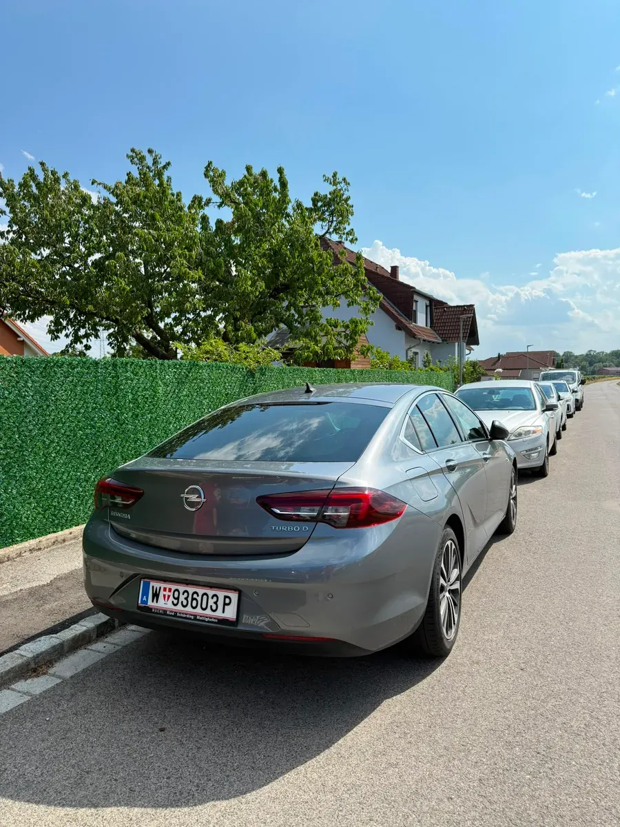Opel Insignia 2019 photo 3
