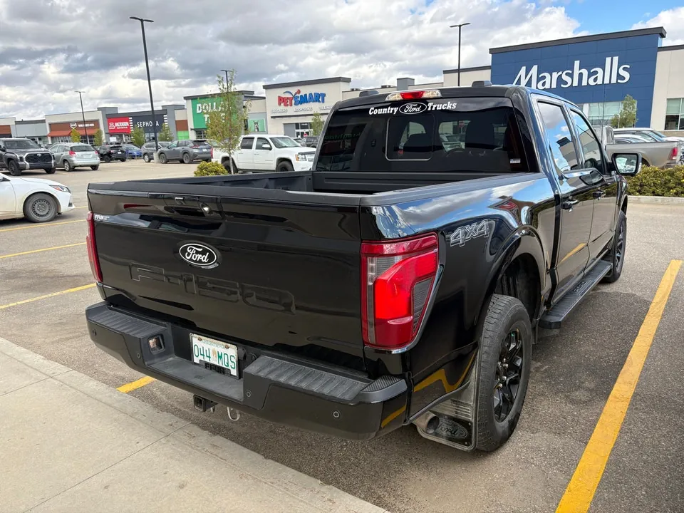 Ford F-150 2025 photo 4