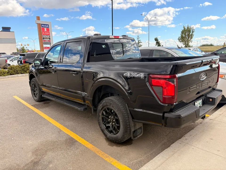 Ford F-150 2025 photo 3