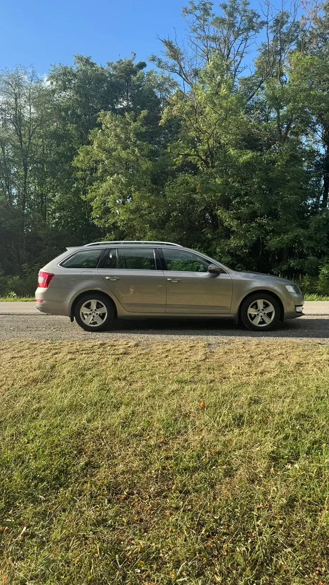 Skoda Octavia 2014 photo 3