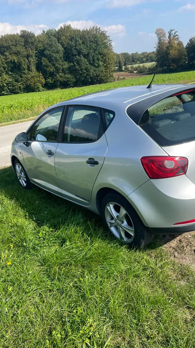 Seat Ibiza 2011 photo 3
