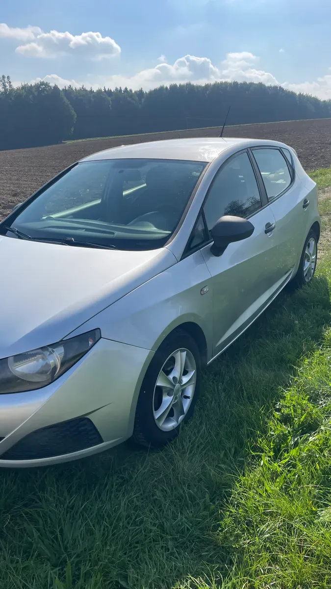 Seat Ibiza 2011 photo 2