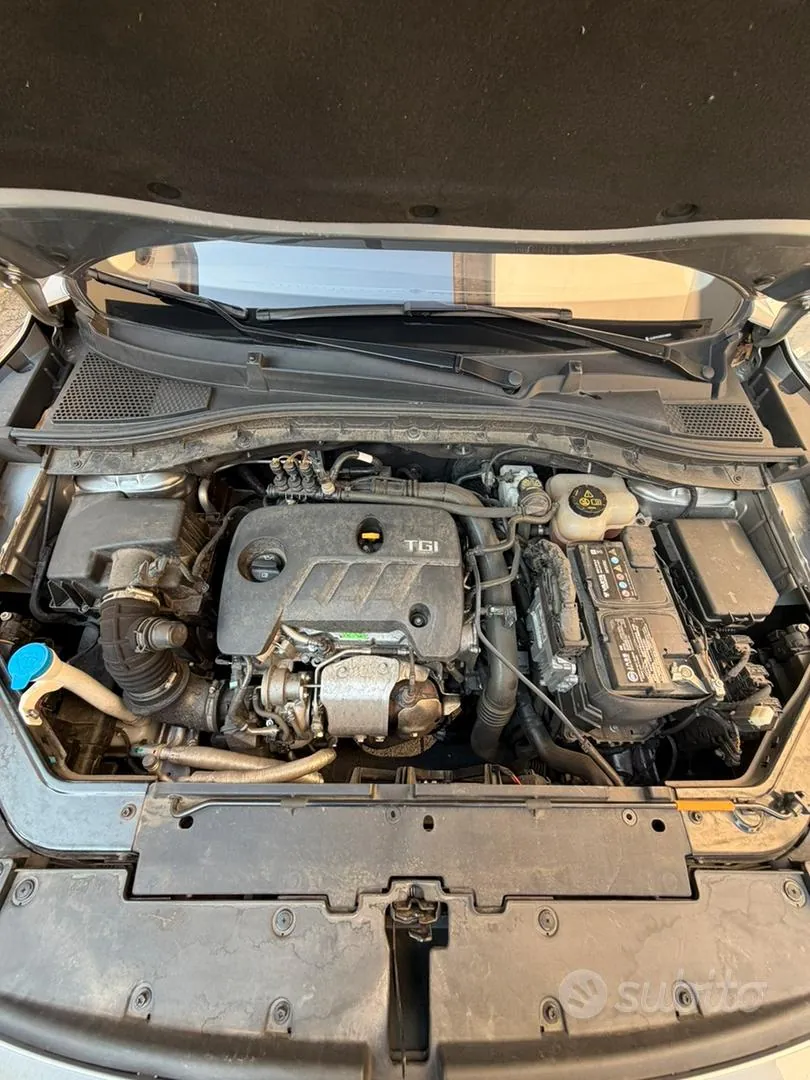 MG Zs 2024 photo 2