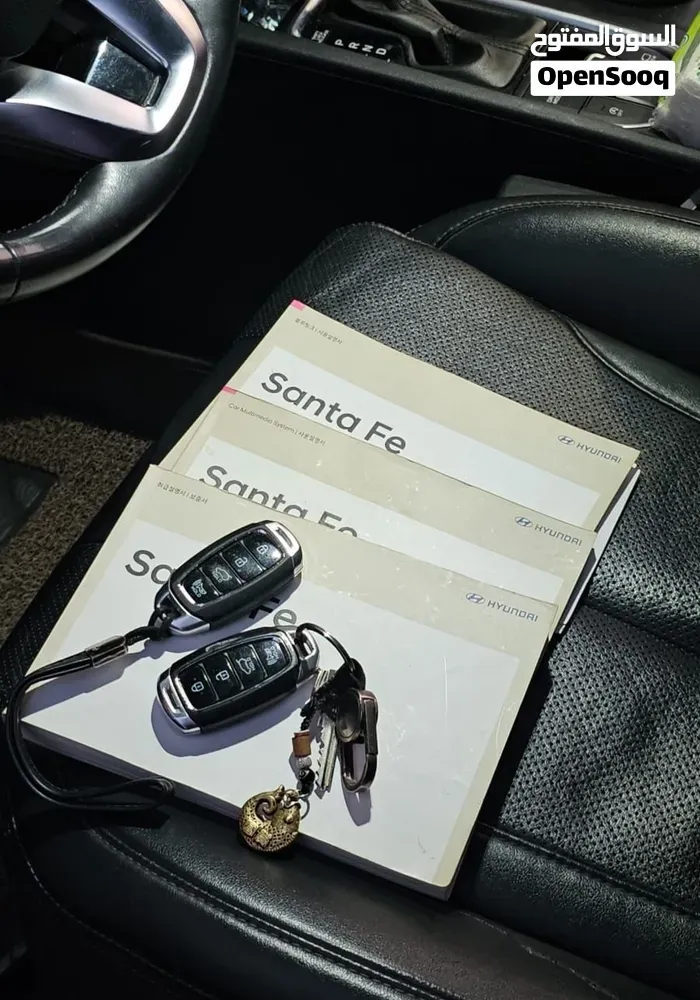 Hyundai Santa Fe 2020 photo 2