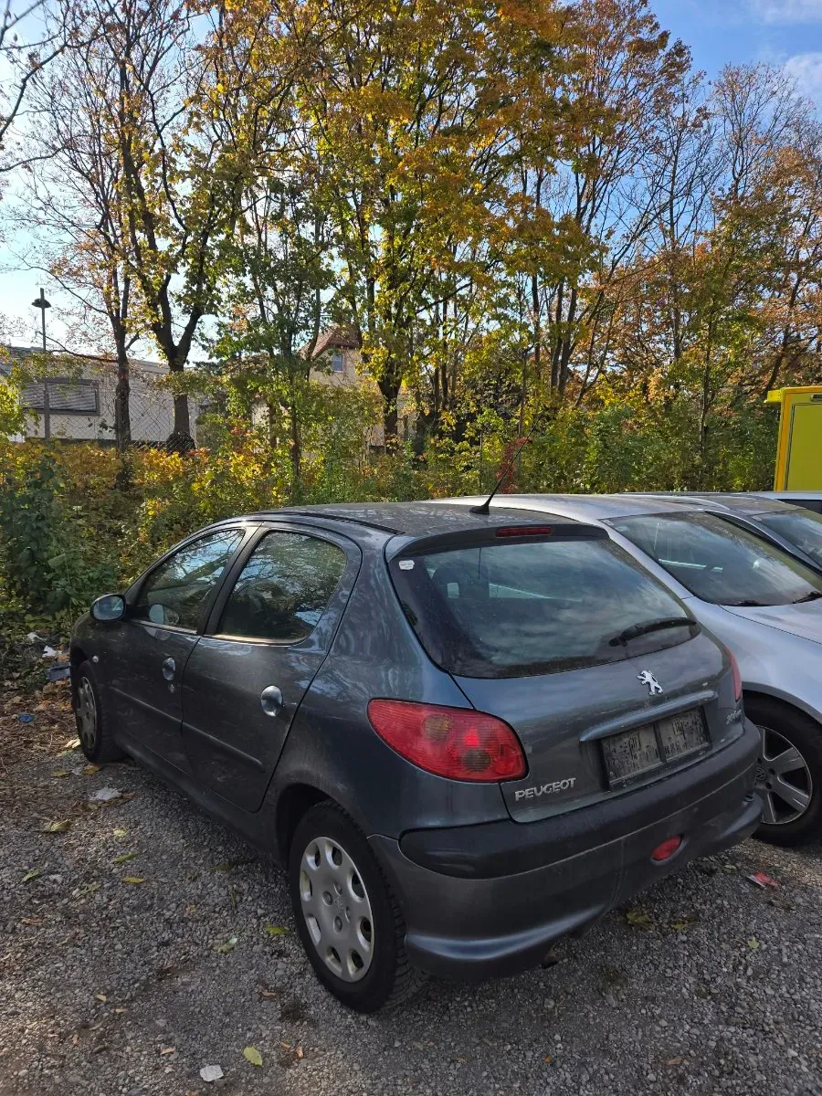Peugeot 206 2006 photo 2