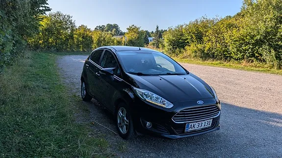 Ford Fiesta 2014 photo 2