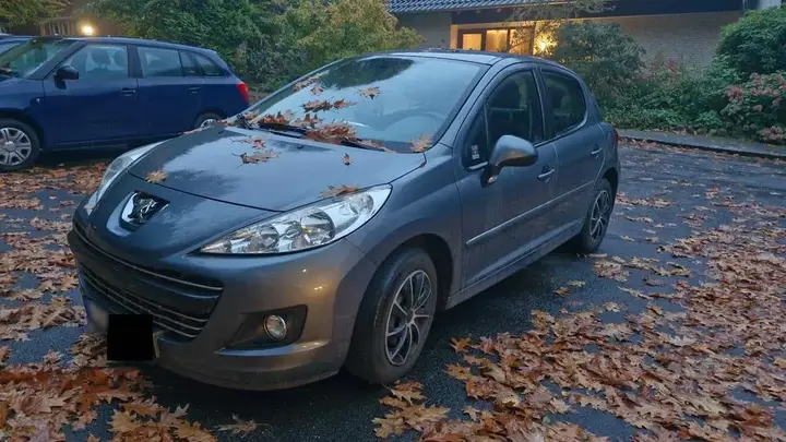 Peugeot 207