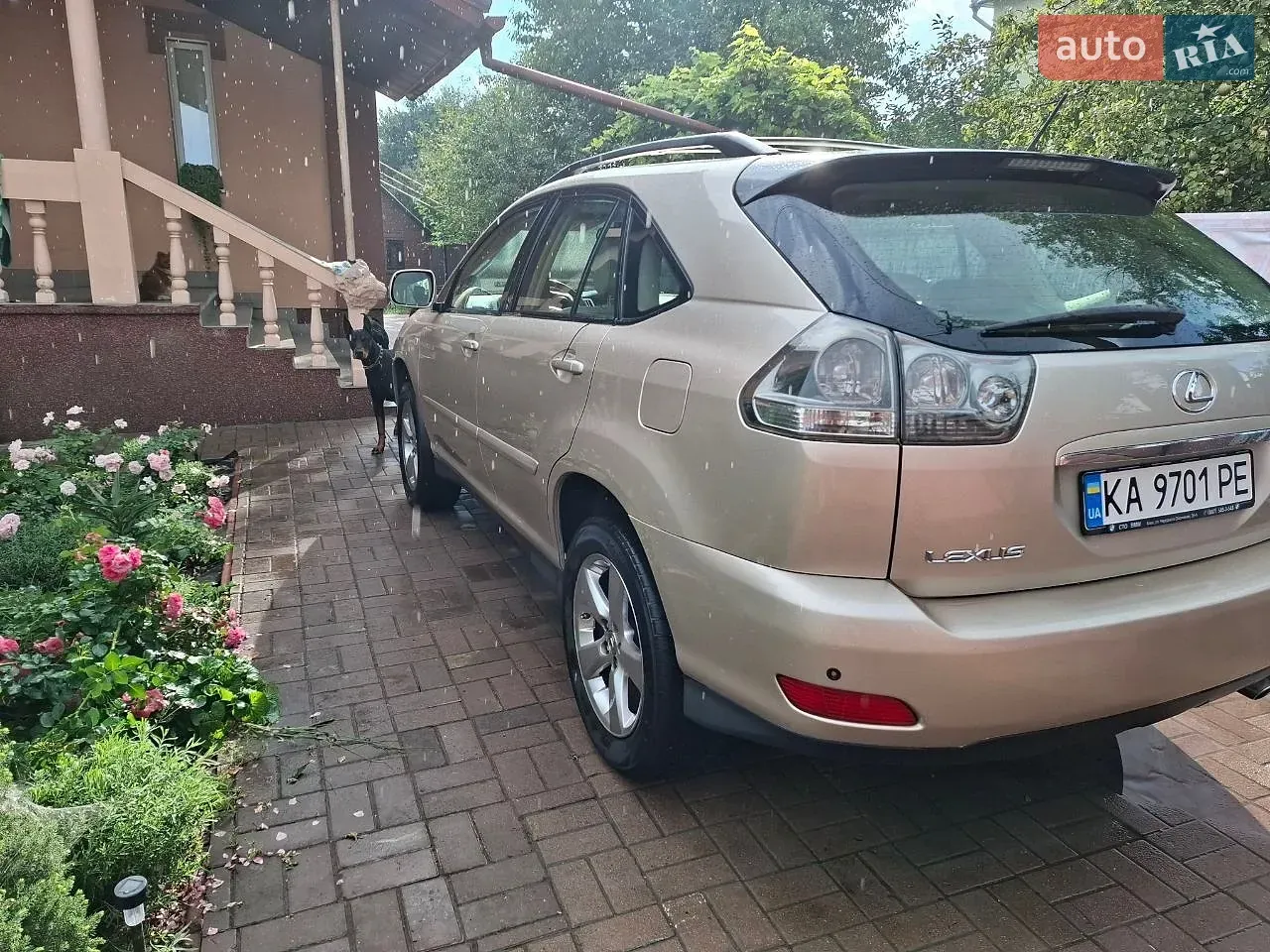 Lexus Rx 2004 photo 5