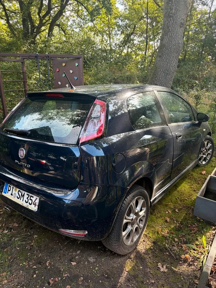 Fiat Punto