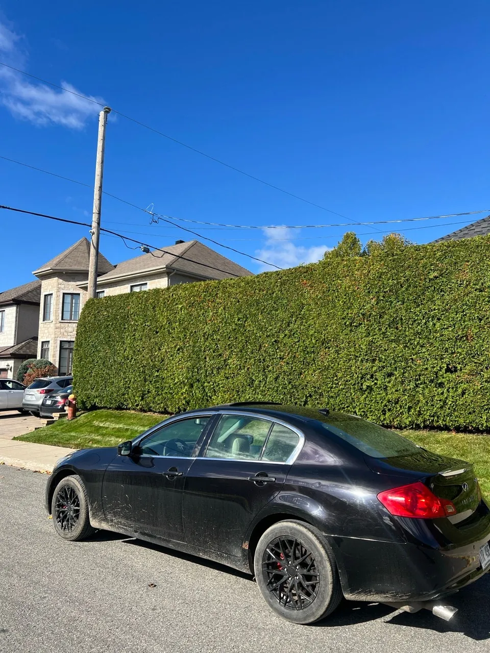 Infiniti G37 2011 photo 5