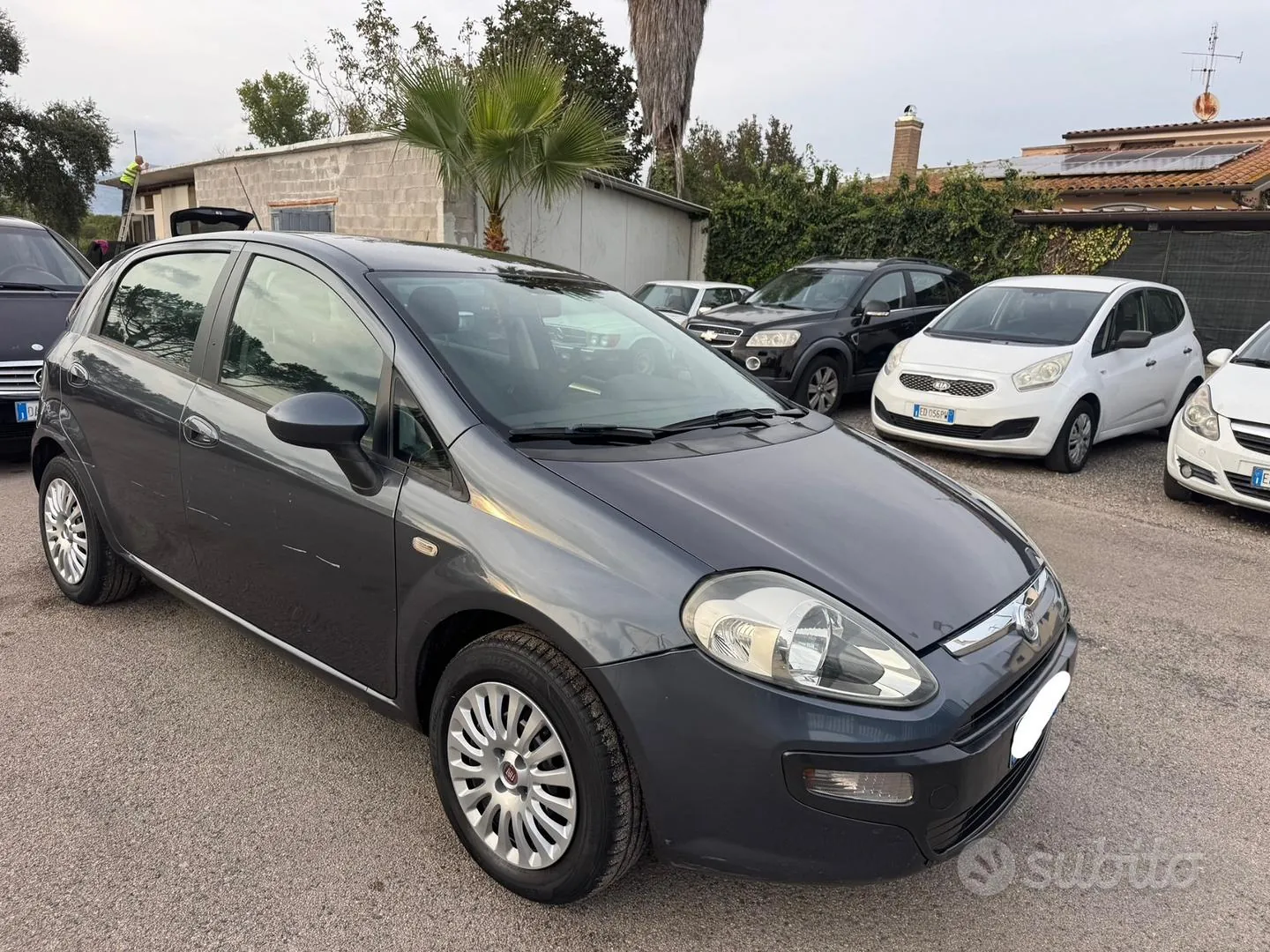 Fiat Punto