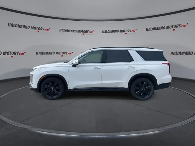 Hyundai Palisade 2024 photo 5
