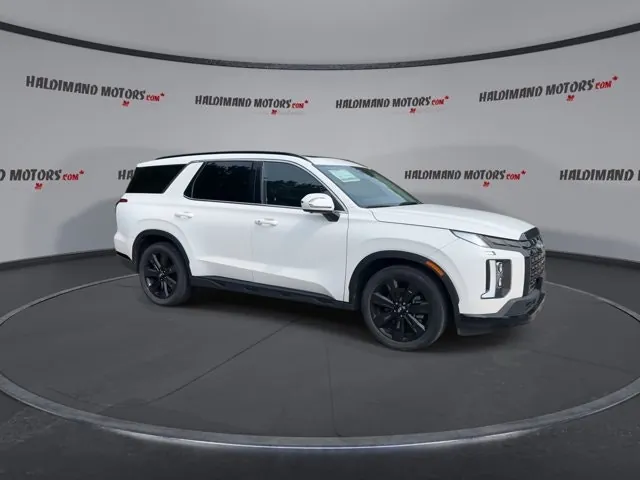 Hyundai Palisade 2024 photo 2