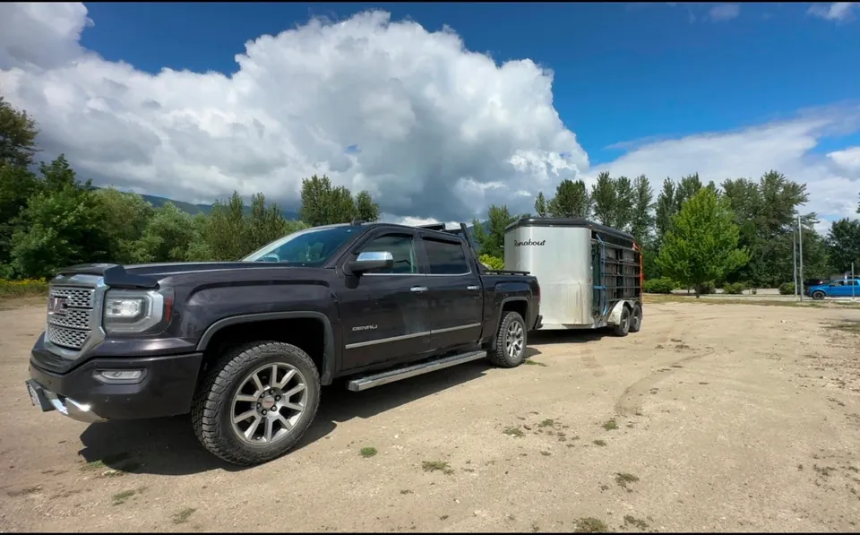 GMC Sierra 1500 2016 photo 3