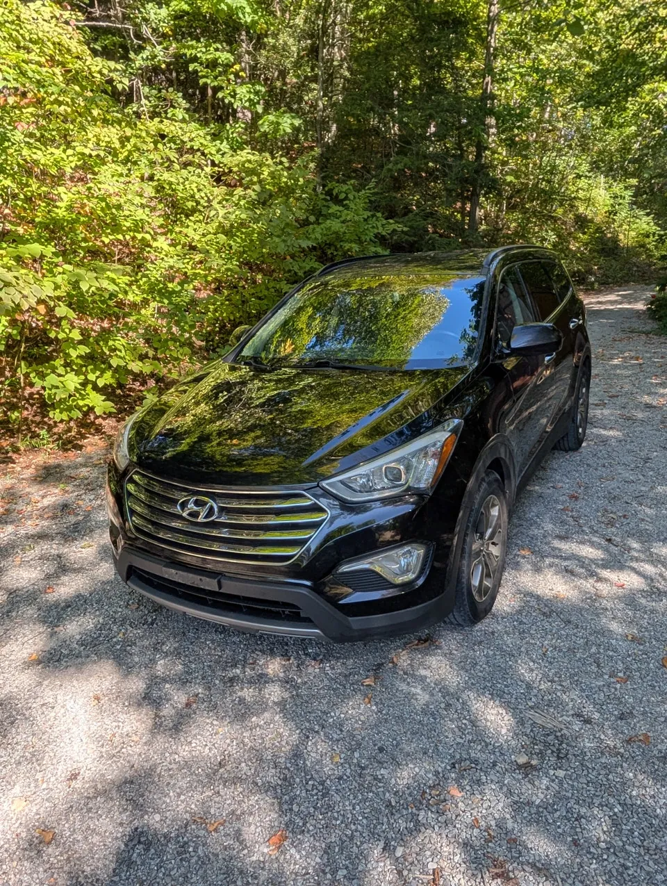 Hyundai Santa Fe 2014 photo 4