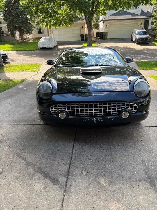 Ford Thunderbird 2002 photo 3