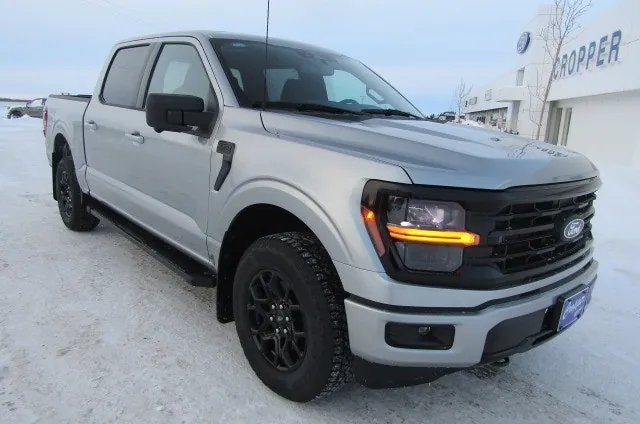 Ford F-150 2024 photo 5