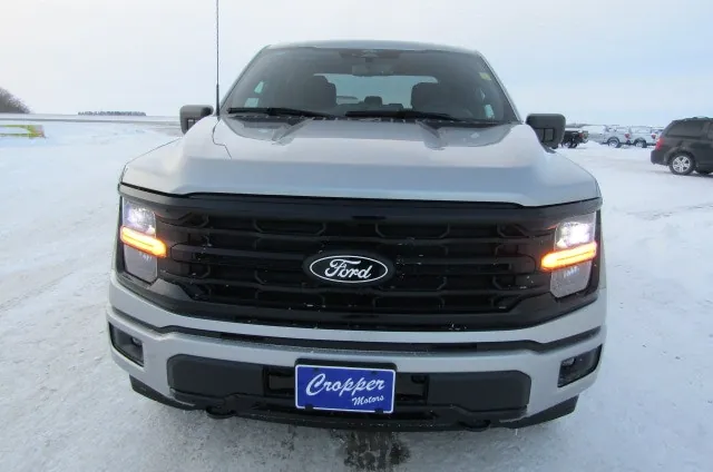 Ford F-150 2024 photo 4