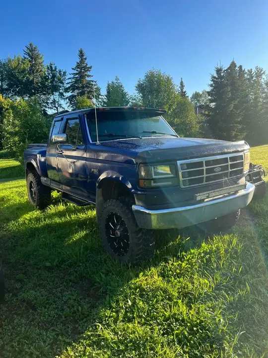 Ford F-150 1992 photo 2