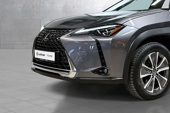 Lexus Ux300E 2021 photo 4