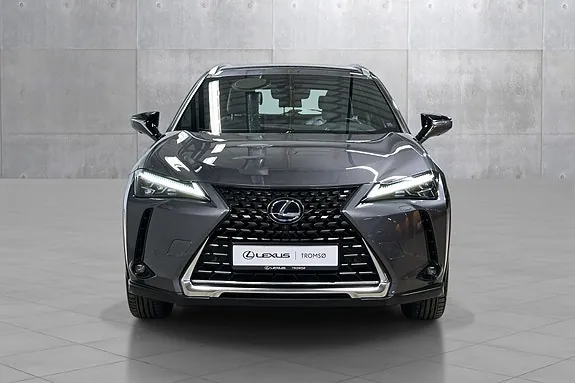Lexus Ux300E 2021 photo 2