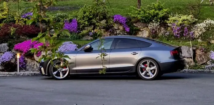 Audi A5 2015 photo 2