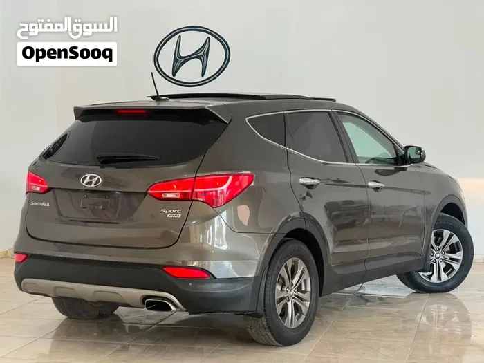 Hyundai Santa Fe 2014 photo 2