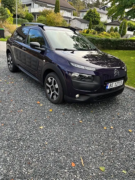 Citroen C4 Cactus 2015 photo 3
