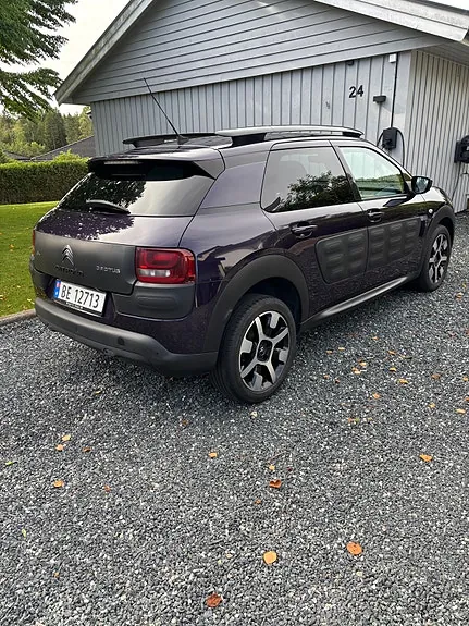 Citroen C4 Cactus 2015 photo 4